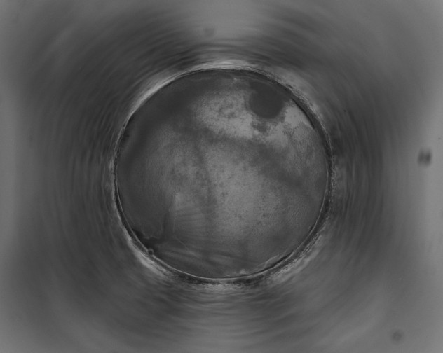 X0000100331425200806191057