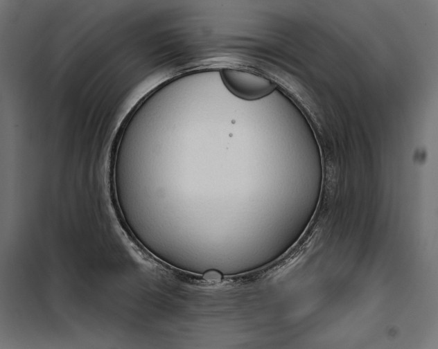 X0000100331426200806191057