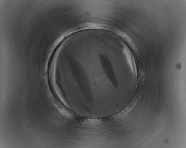 X0000100331427200806191057