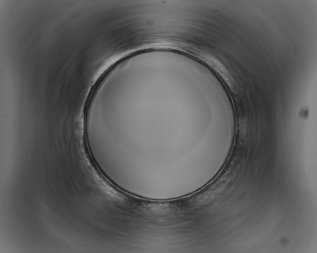 X0000100331428200806191057