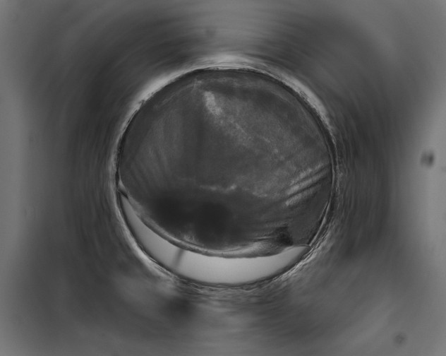 X0000100331429200806191057