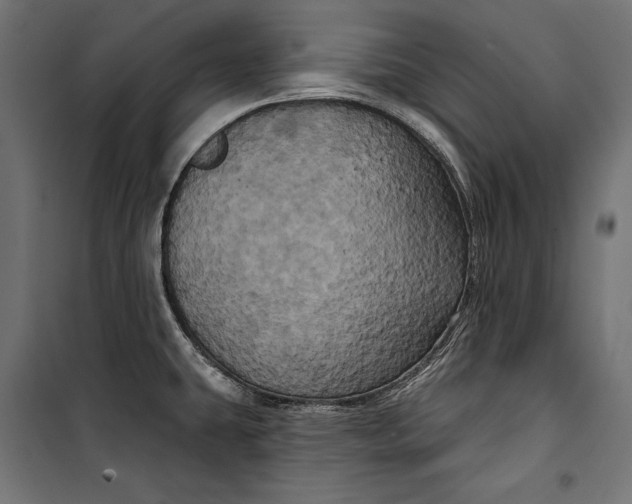 X0000100331431200806191057