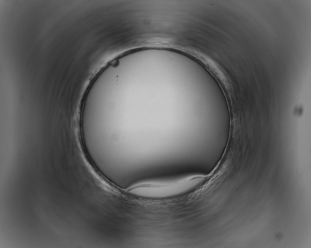 X0000100331432200806191057