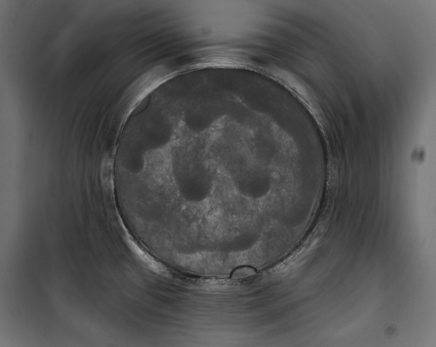 X0000100331433200806191057