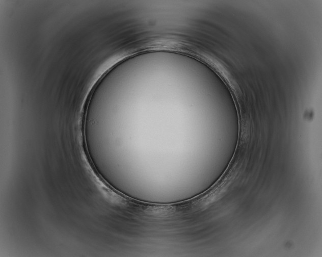 X0000100331434200806191057