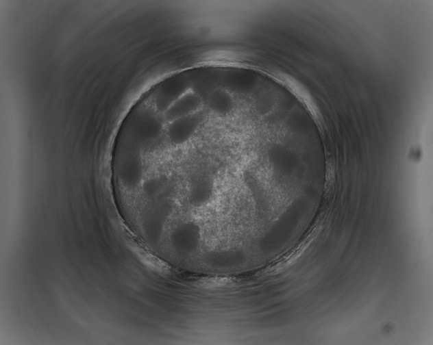 X0000100331435200806191057