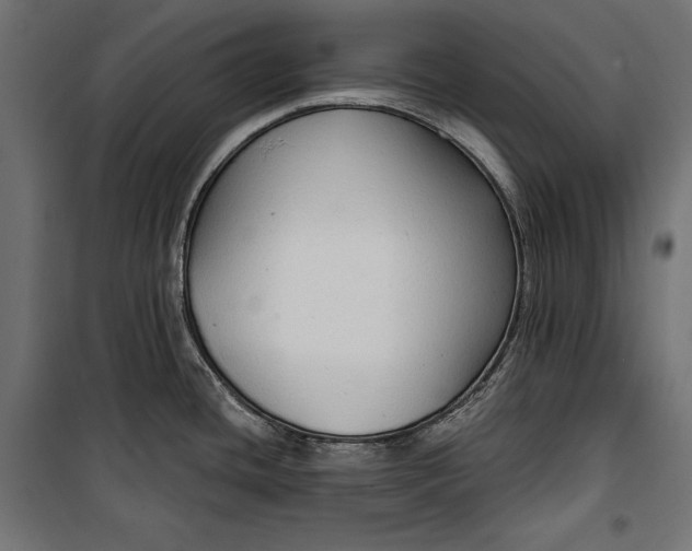 X0000100331436200806191057