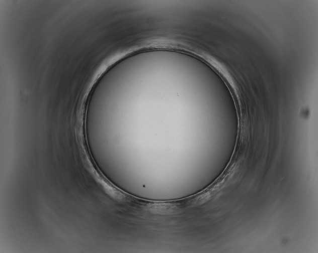 X0000100331437200806191057