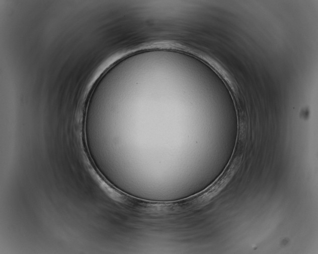 X0000100331438200806191057