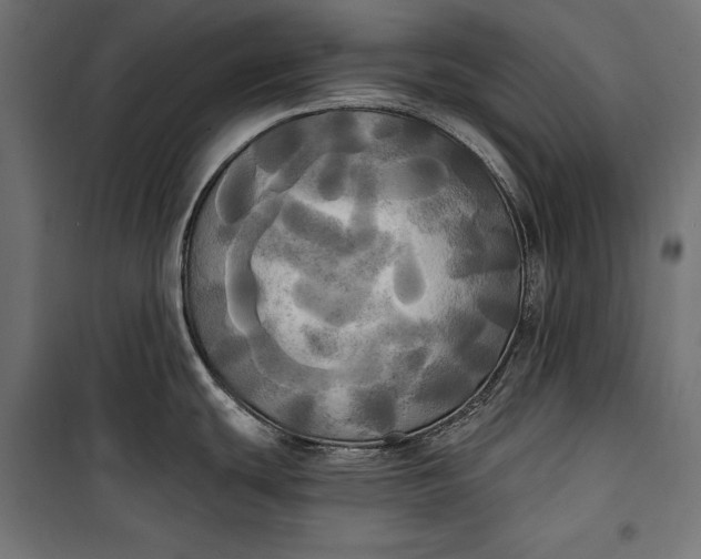 X0000100331439200806191057