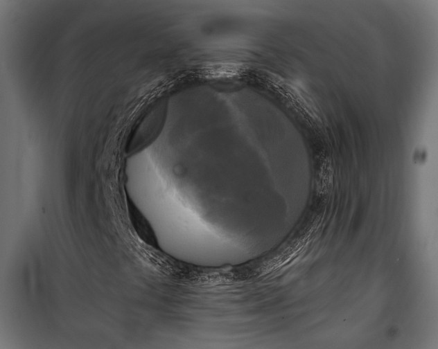 X0000100331441200806191056