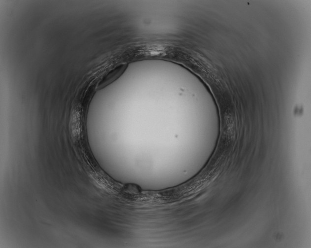 X0000100331442200806191056