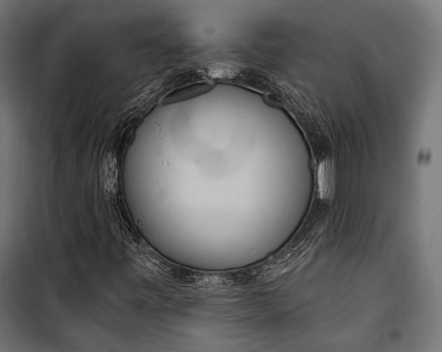 X0000100331443200806191056