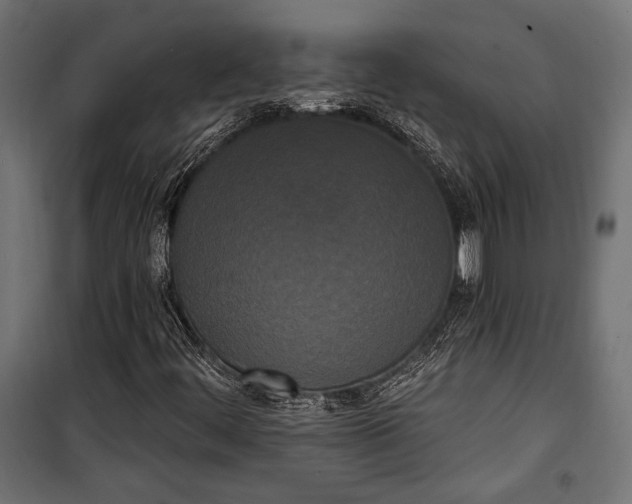 X0000100331444200806191056