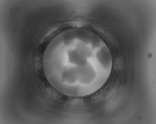 X0000100331446200806191056