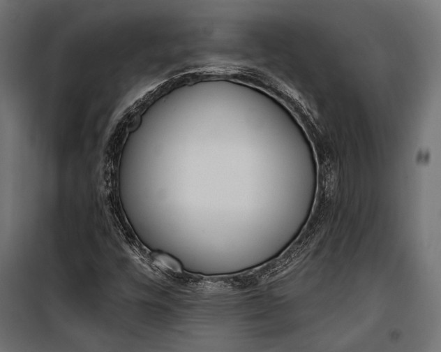 X0000100331448200806191056