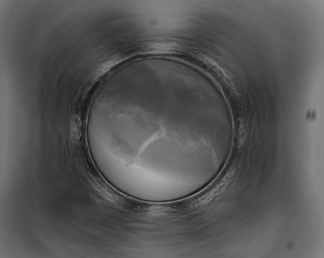 X0000100331449200806191056