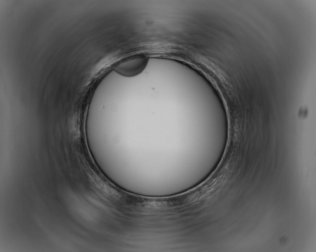 X0000100331451200806191056