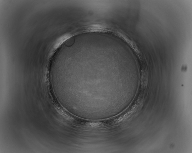 X0000100331453200806191056