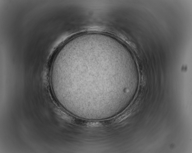 X0000100331454200806191056