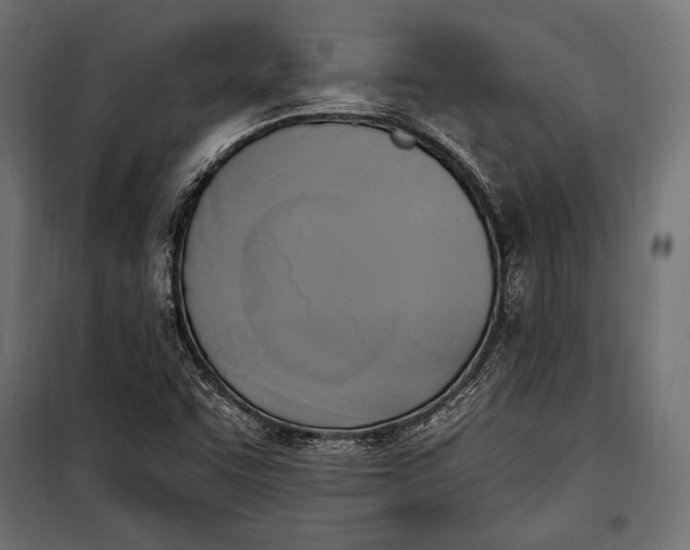 X0000100331455200806191056