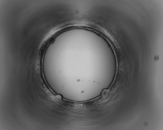 X0000100331456200806191056