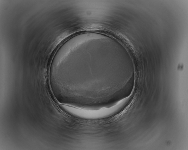 X0000100331457200806191056