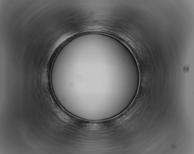 X0000100331458200806191056