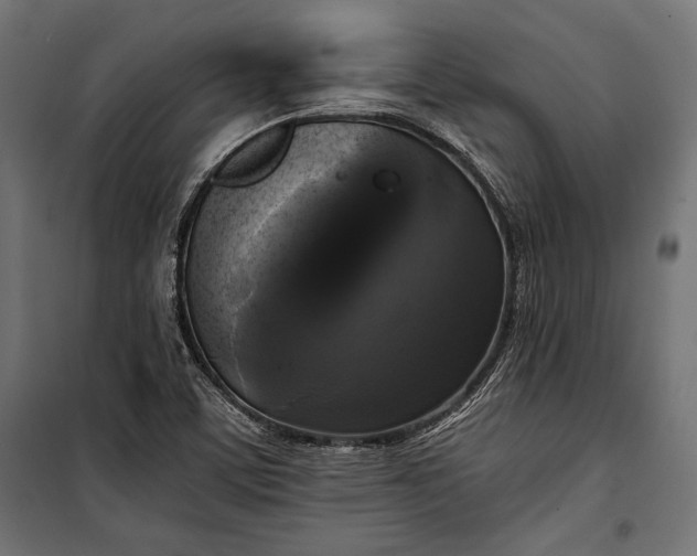 X0000100331459200806191056