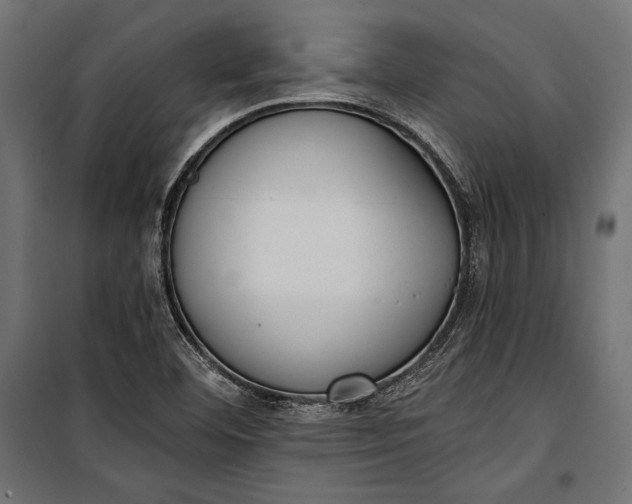 X0000100331460200806191056