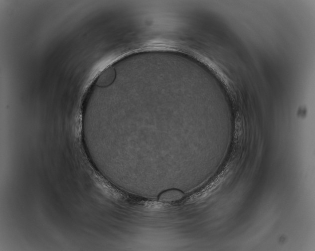 X0000100331461200806191056