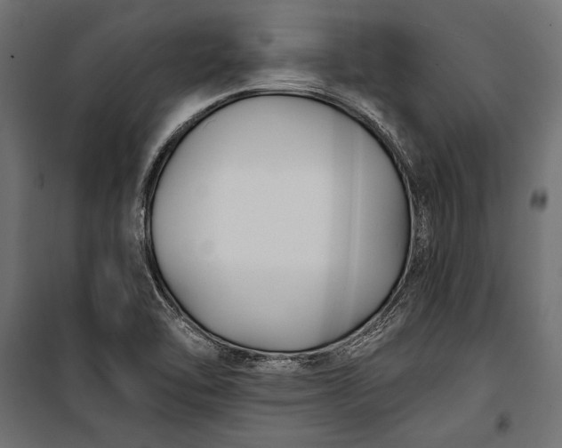 X0000100331462200806191056