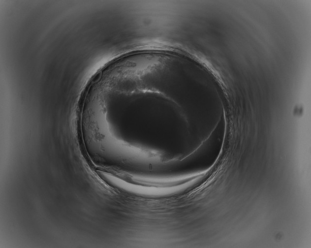 X0000100331463200806191056