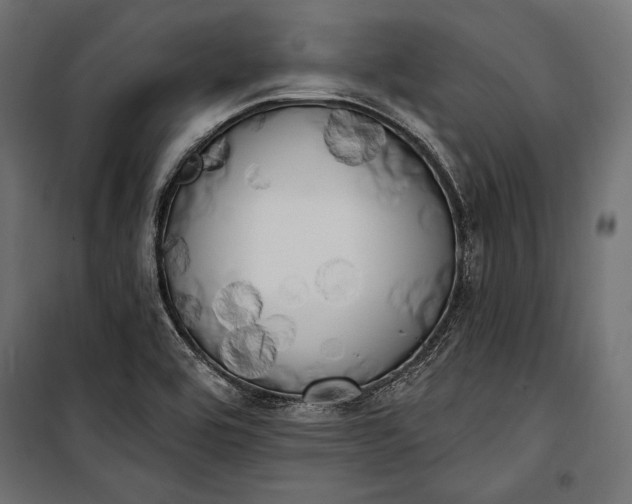 X0000100331464200806191056