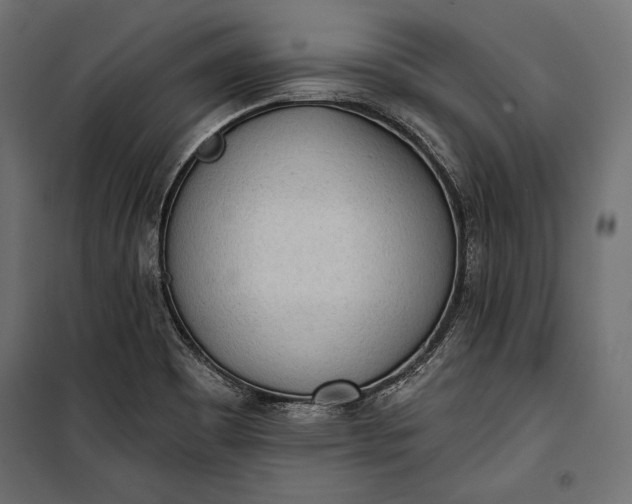 X0000100331465200806191056