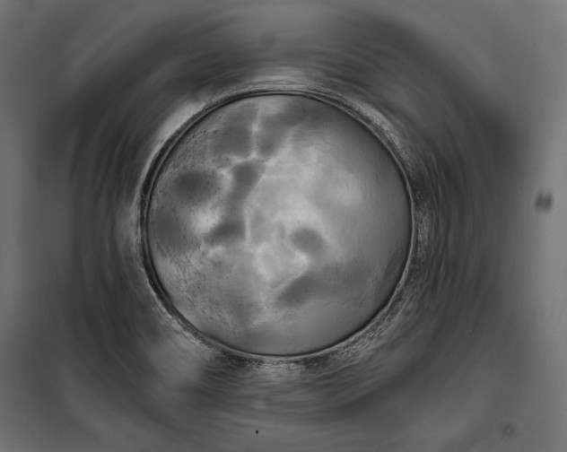 X0000100331466200806191056