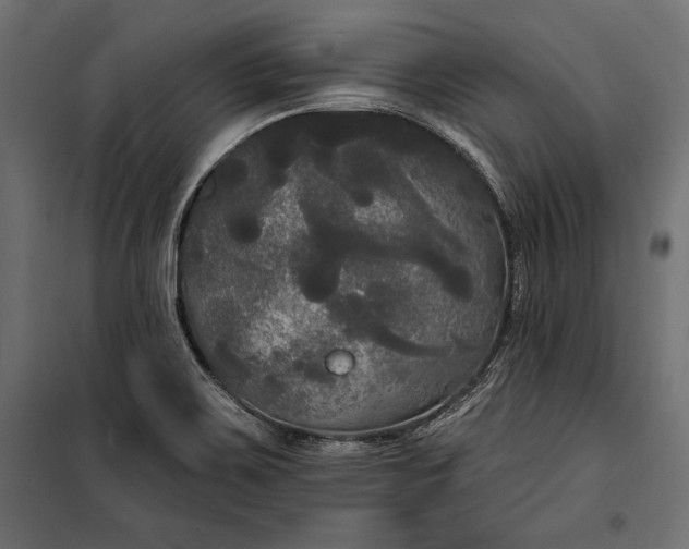 X0000100331467200806191056