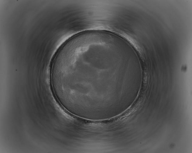 X0000100331468200806191056