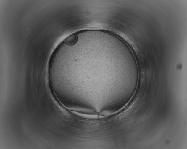 X0000100331469200806191056