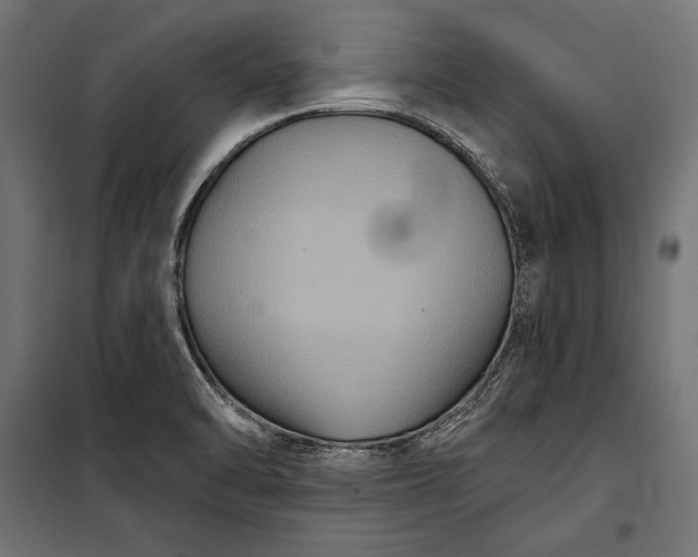 X0000100331470200806191056