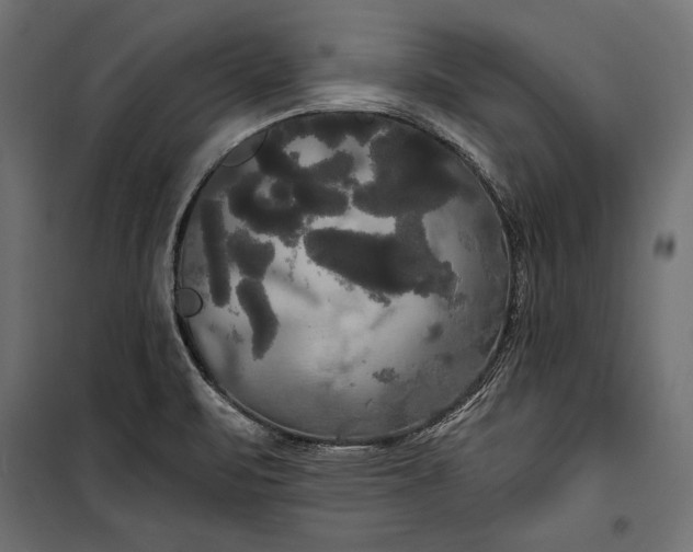 X0000100331471200806191056