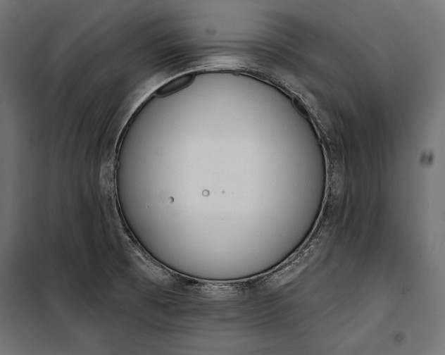 X0000100331473200806191056