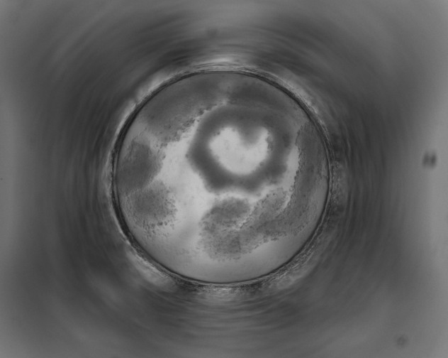 X0000100331474200806191056