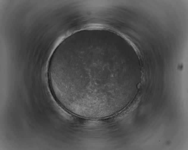 X0000100331475200806191056