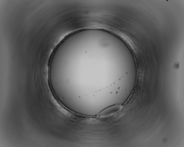 X0000100331476200806191056