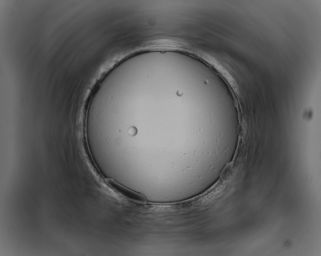 X0000100331477200806191056