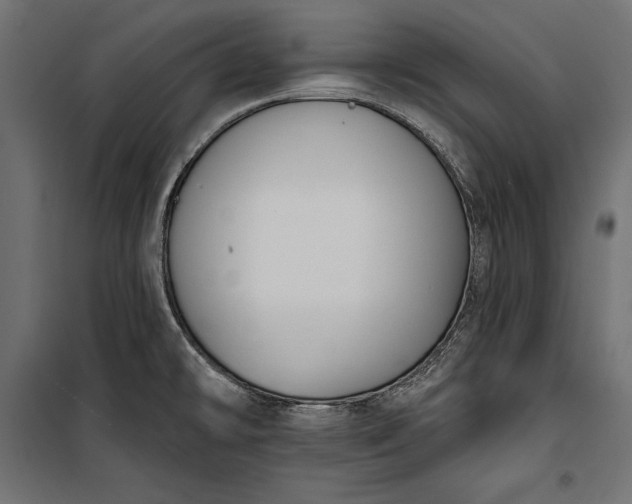 X0000100331478200806191056