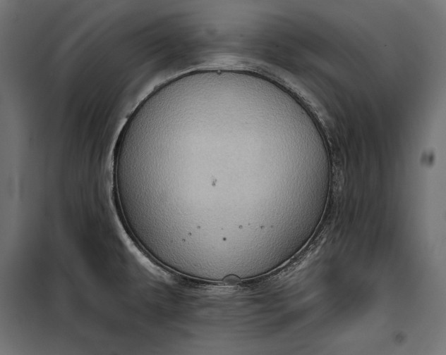 X0000100331479200806191056