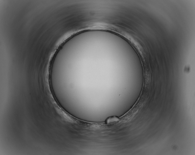 X0000100331480200806191056