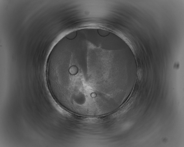 X0000100331482200806191056